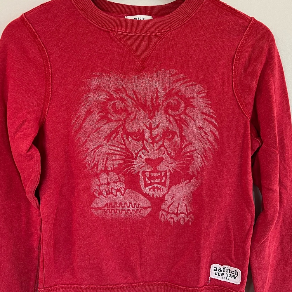 Boys Sweatshirt Size XL.  Abercrombie Kids.